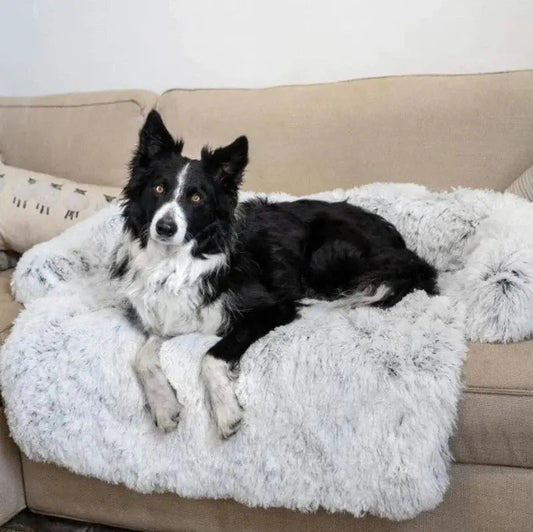 Dog Sofa Bed with Soft Fabric | for All Dog Sizes, Easy to Clean & Non-Slip Design 3