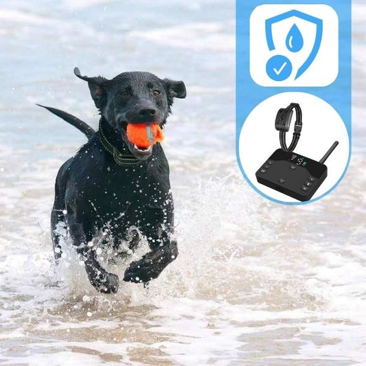 Dog Training Collar with Adjustable Fit and Customizable Boundary for Small to Large Dogs-Training Collars-Levereau-Dog Fence + 01 Collar-Levereau