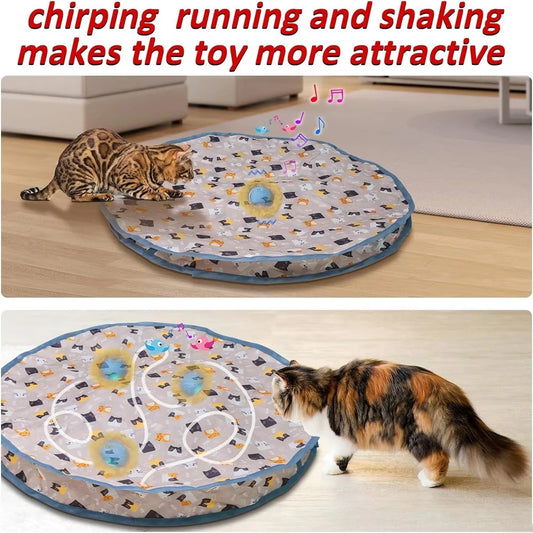 Interactive Cat Toy Ball with Motion Activation for Indoor Cats - Rechargeable Fun 1