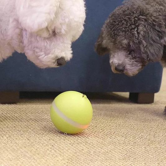 Interactive Dog Toy Motion Ball with Rechargeable Battery for Dogs and Cats 1