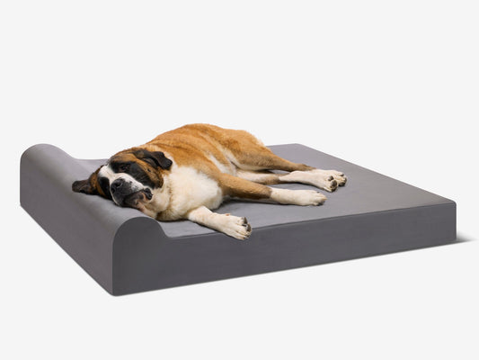 PawVault | Orthopedic Dog Bed with 7-Inch Foam for Large Dogs — Supports Joint Health 1