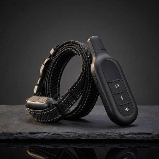 Dog Training Collar with Remote Control and Waterproof Design for Dogs 4–120 lbs-Training Collars-Levereau-PD 521 with Nylon Collar-Levereau