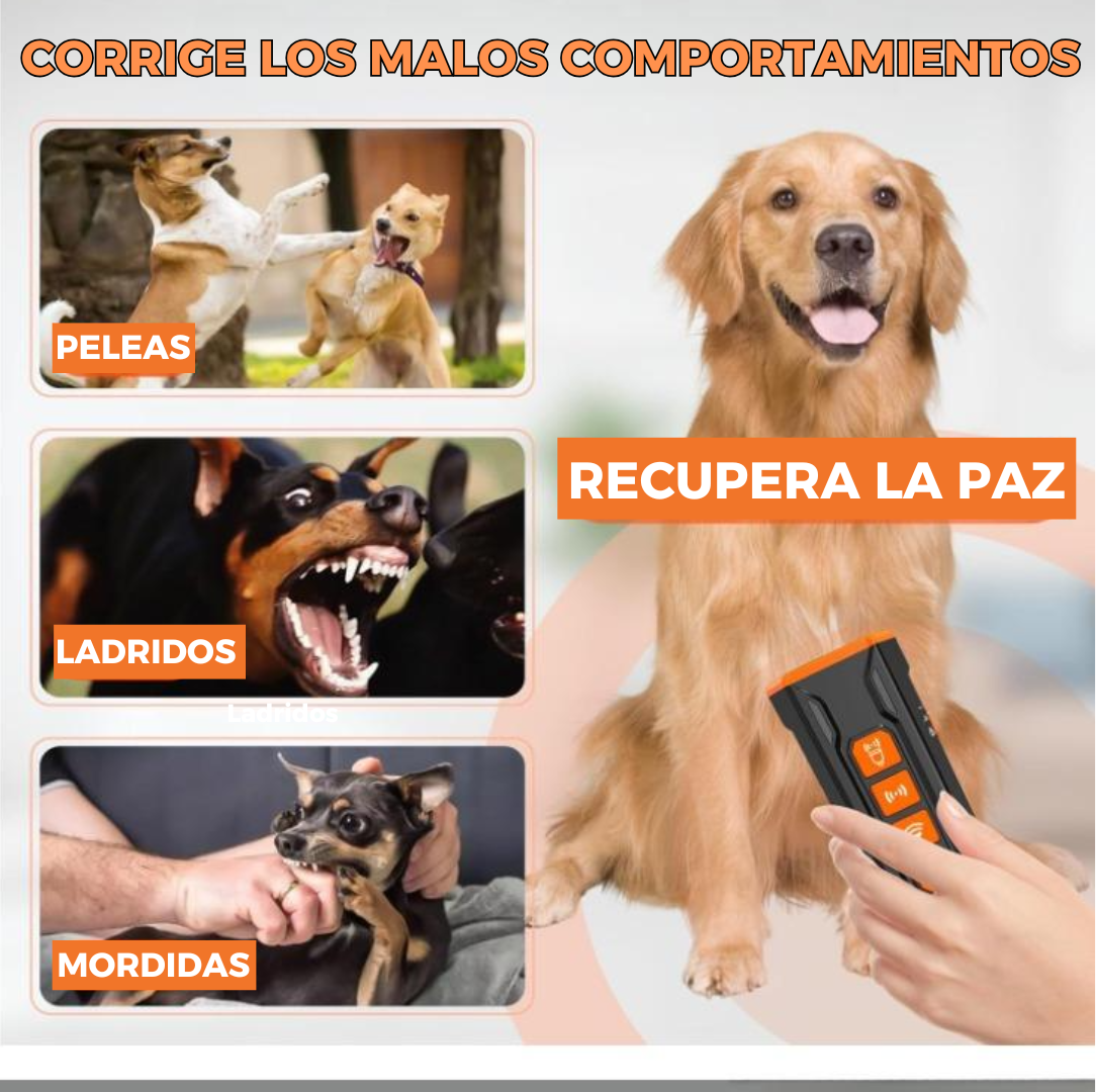 PurFloo™ - Control Total de Ladridos al Instante
