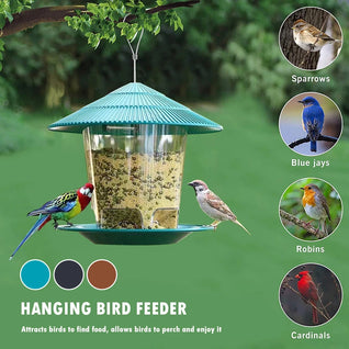 Automatic Bird Feeder with Large Capacity and Weather-Resistant Design for Outdoor Use
