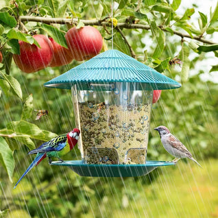 Automatic Bird Feeder with Large Capacity and Weather-Resistant Design for Outdoor Use