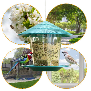 Automatic Bird Feeder with Large Capacity and Weather-Resistant Design for Outdoor Use