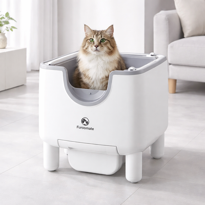 Automatic Cat Litter Box with Odor Control and Smart Sensors for All Cat Sizes 0