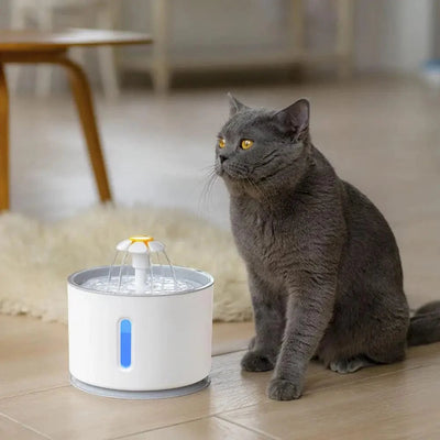 Automatic Cat Water Fountain with LED Lighting and 2.4L Capacity for Small Dogs and Cats 1