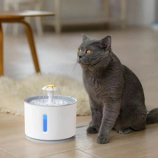 Automatic Cat Water Fountain with LED Lighting and 2.4L Capacity for Small Dogs and Cats 1