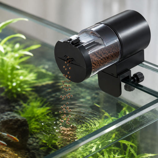 Automatic Fish Feeder with Adjustable Timer for Freshwater and Saltwater Aquariums 50
