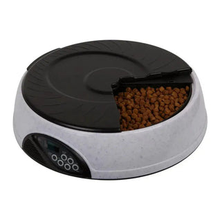 Automatic Pet Feeder with Timer & Portion Control | for Dogs and Cats of All Sizes