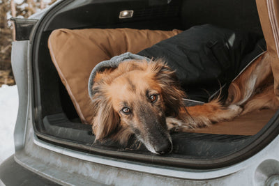 Barker | Large Dog Bed for SUV with Pillow Wings and Removable Cover for Travel Comfort 1