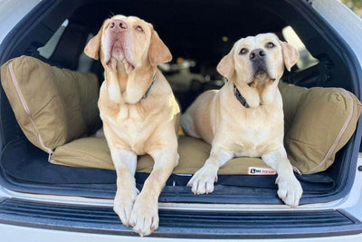 Barker | Large Dog Bed for SUV with Pillow Wings and Removable Cover for Travel Comfort 3