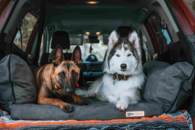 Barker | Large Dog Bed for SUV with Pillow Wings and Removable Cover for Travel Comfort 4