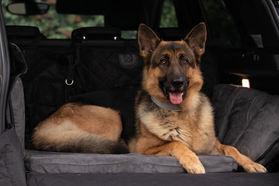 Barker | Large Dog Bed for SUV with Pillow Wings and Removable Cover for Travel Comfort 9