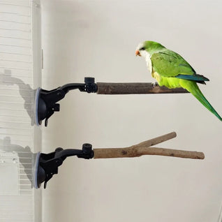 Bird Perch Stand with Suction Cup for Small to Large Birds — Durable Wood Material