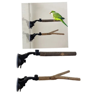 Bird Perch Stand with Suction Cup for Small to Large Birds — Durable Wood Material
