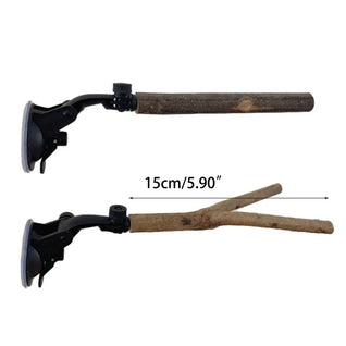 Bird Perch Stand with Suction Cup for Small to Large Birds — Durable Wood Material