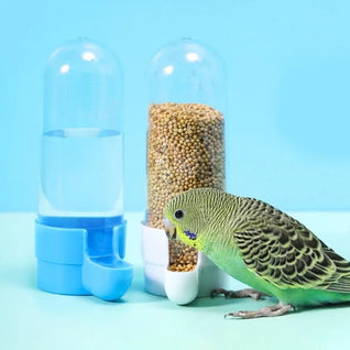 Bird Water Dispenser with Automatic Feature and Hygienic Design for Small Birds