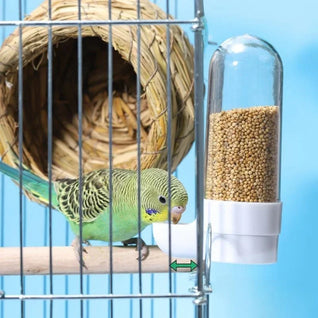 Bird Water Dispenser with Automatic Feature and Hygienic Design for Small Birds