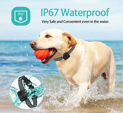 BowLift | Anti Bark Dog Collar with Vibration and Waterproof Design for Small Dogs 3