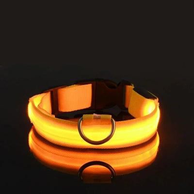 BowLift | LED Safety Dog Collar with Adjustable Fit for Small, Medium, and Large Dogs 10