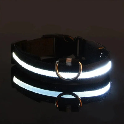 BowLift | LED Safety Dog Collar with Adjustable Fit for Small, Medium, and Large Dogs 11
