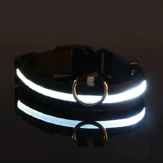 BowLift | LED Safety Dog Collar with Adjustable Fit for Small, Medium, and Large Dogs 11