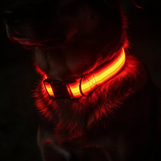 BowLift | LED Safety Dog Collar with Adjustable Fit for Small, Medium, and Large Dogs 12