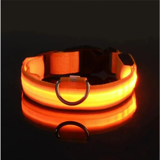 BowLift | LED Safety Dog Collar with Adjustable Fit for Small, Medium, and Large Dogs 13