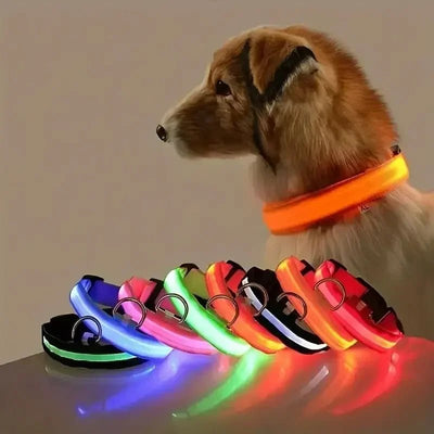 BowLift | LED Safety Dog Collar with Adjustable Fit for Small, Medium, and Large Dogs 2