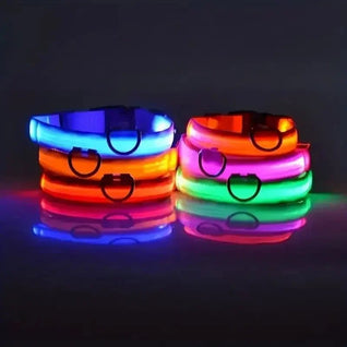 BowLift | LED Safety Dog Collar with Adjustable Fit for Small, Medium, and Large Dogs