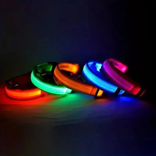 BowLift | LED Safety Dog Collar with Adjustable Fit for Small, Medium, and Large Dogs