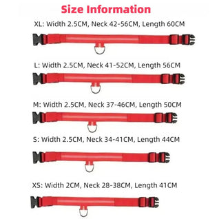 BowLift | LED Safety Dog Collar with Adjustable Fit for Small, Medium, and Large Dogs