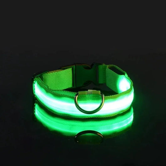 BowLift | LED Safety Dog Collar with Adjustable Fit for Small, Medium, and Large Dogs 8