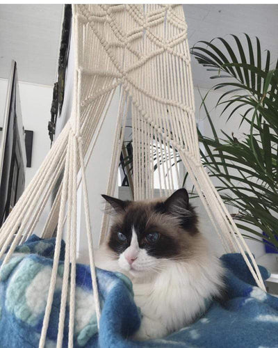 BowLift | Macrame Cat Bed with Cozy Cotton Rope Design for Indoor Cats 4