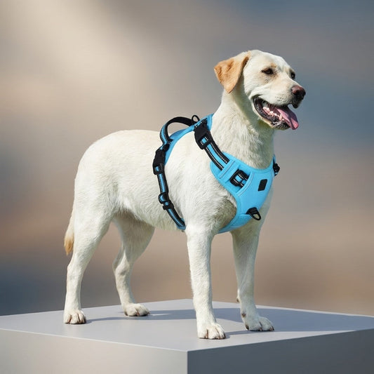 Reflective No-Pull Dog Harness with Adjustable Fit for Small to Large Dogs-Dog Harnesses-Levereau-Sea Blue-S-Levereau