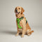 Reflective No-Pull Dog Harness with Adjustable Fit for Small to Large Dogs