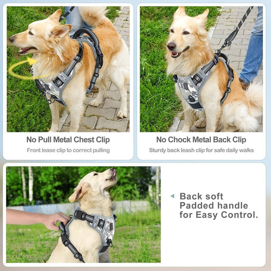 Reflective No-Pull Dog Harness with Adjustable Fit for Small to Large Dogs-Dog Harnesses-Levereau-Light green-S-Levereau
