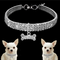 Artiphy | Stylish Crystal Dog Collar with Unique Bone Charm for Small, Medium, and Large Dogs