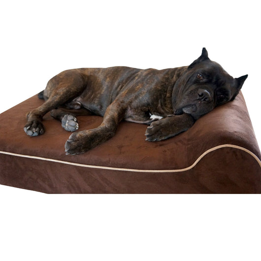 BullyBeds | Orthopedic Memory Foam Dog Bed with Waterproof Cover for Large Breeds 3