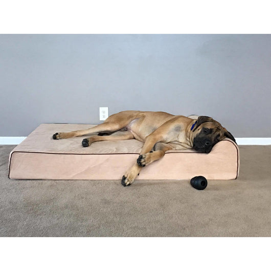BullyBeds | Orthopedic Memory Foam Dog Bed with Waterproof Cover for Large Breeds 7