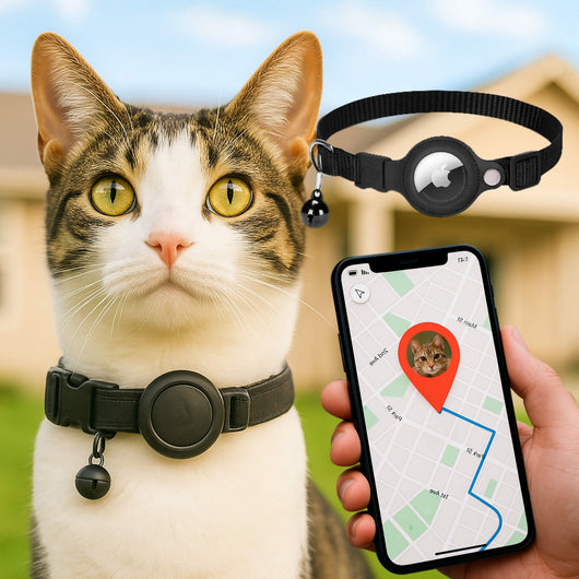 Cat GPS Tracker Collar with Quick Release Closure and Reflective Design for Outdoor Safety-Cat Collars-Levereau-Black-Levereau