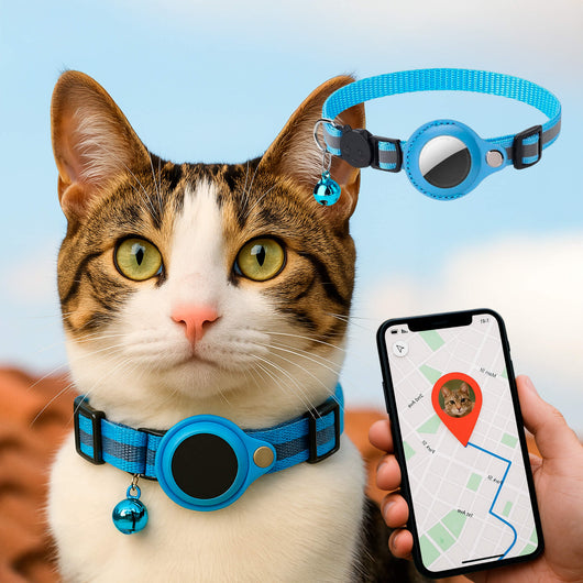 Cat GPS Tracker Collar with Quick Release Closure and Reflective Design for Outdoor Safety-Cat Collars-Levereau-Sky Blue-Levereau