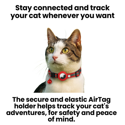 Cat GPS Tracker Collar with Quick Release Closure and Reflective Design for Outdoor Safety-Cat Collars-Levereau-Black-Levereau