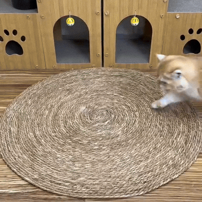 Cat Scratch Mat with Natural Sisal for Scratching and Resting - Durable 2-in-1 Solution for All Cats 2
