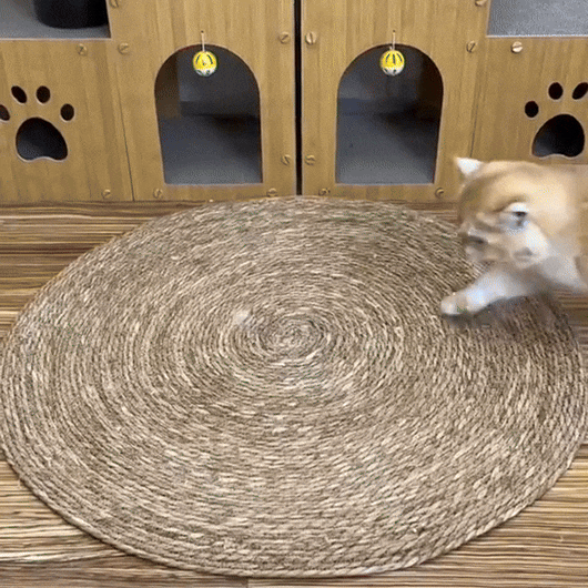 Cat Scratch Mat with Natural Sisal for Scratching and Resting - Durable 2-in-1 Solution for All Cats 2