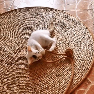 Cat Scratch Mat with Natural Sisal for Scratching and Resting - Durable 2-in-1 Solution for All Cats 3