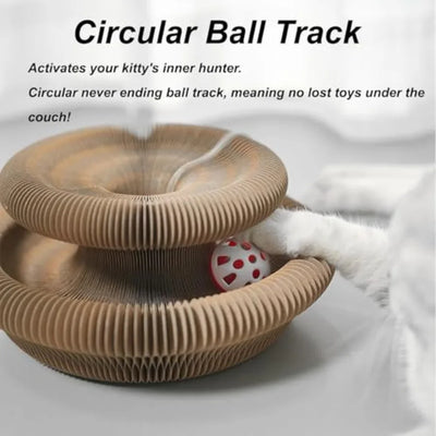 Cat Scratching Post with Interactive Ball and Foldable Design for Indoor Cats 4