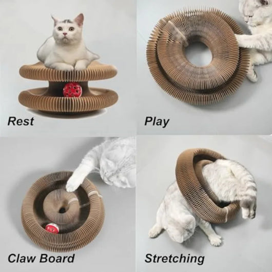 Cat Scratching Post with Interactive Ball and Foldable Design for Indoor Cats 5